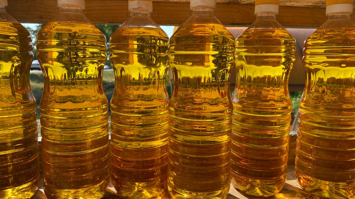 Najlepszy olej na zbicie cholesterolu. Jeden z najtańszych