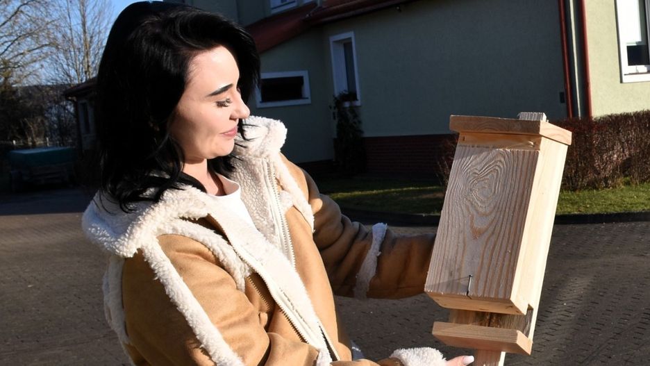 Nadleśnictwo Sławno rozwiesza budki dla nietoperzy