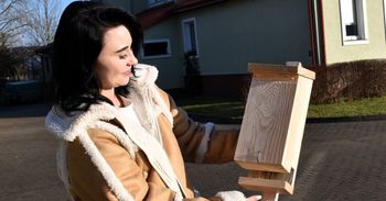 Nietoperze w ciągu nocy zjadają trzy tysiące komarów, które są utrapieniem dla ludzi. Nadleśnictwo Sławno dba o te ssaki