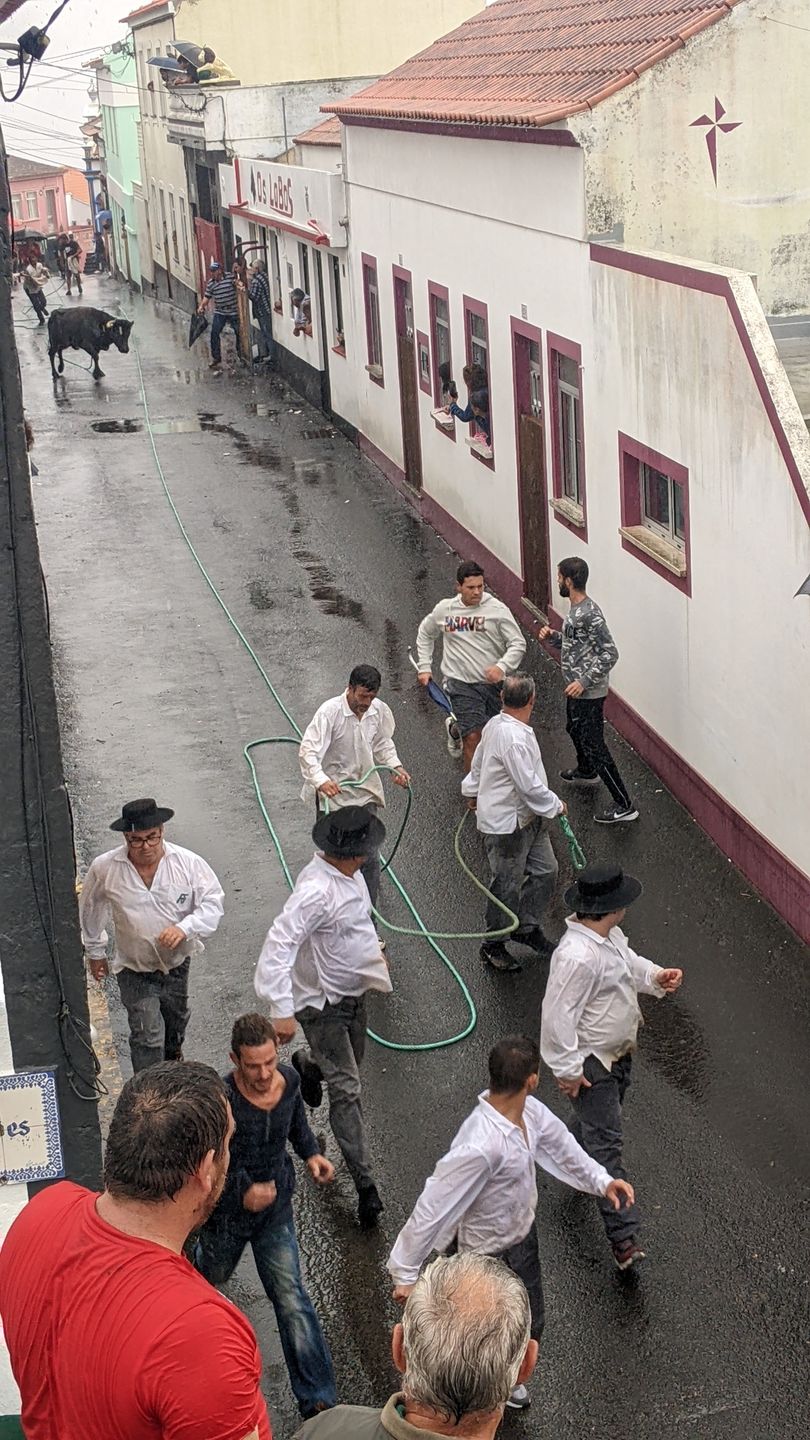 Gdy byk się zbliża, to większośc osób ucieka