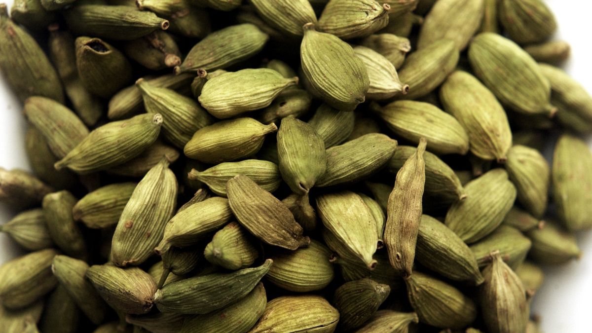 Green SeedsMass of green seeds shot on white paper. Shot over a year ago so I'm not exactly sure what there are (I'm not much of a chef)sidneybernstein"Dining, Change, DNA, Diner, Dinner, Food, Food And Drink, Freshness, Healthcare And Medicine, Healthy Lifestyle, Indian Culture, Ingredient, Meal, Nature, Organic, Plants", Restaurant, Seed, Traditional Culture, Vegetable, culinery