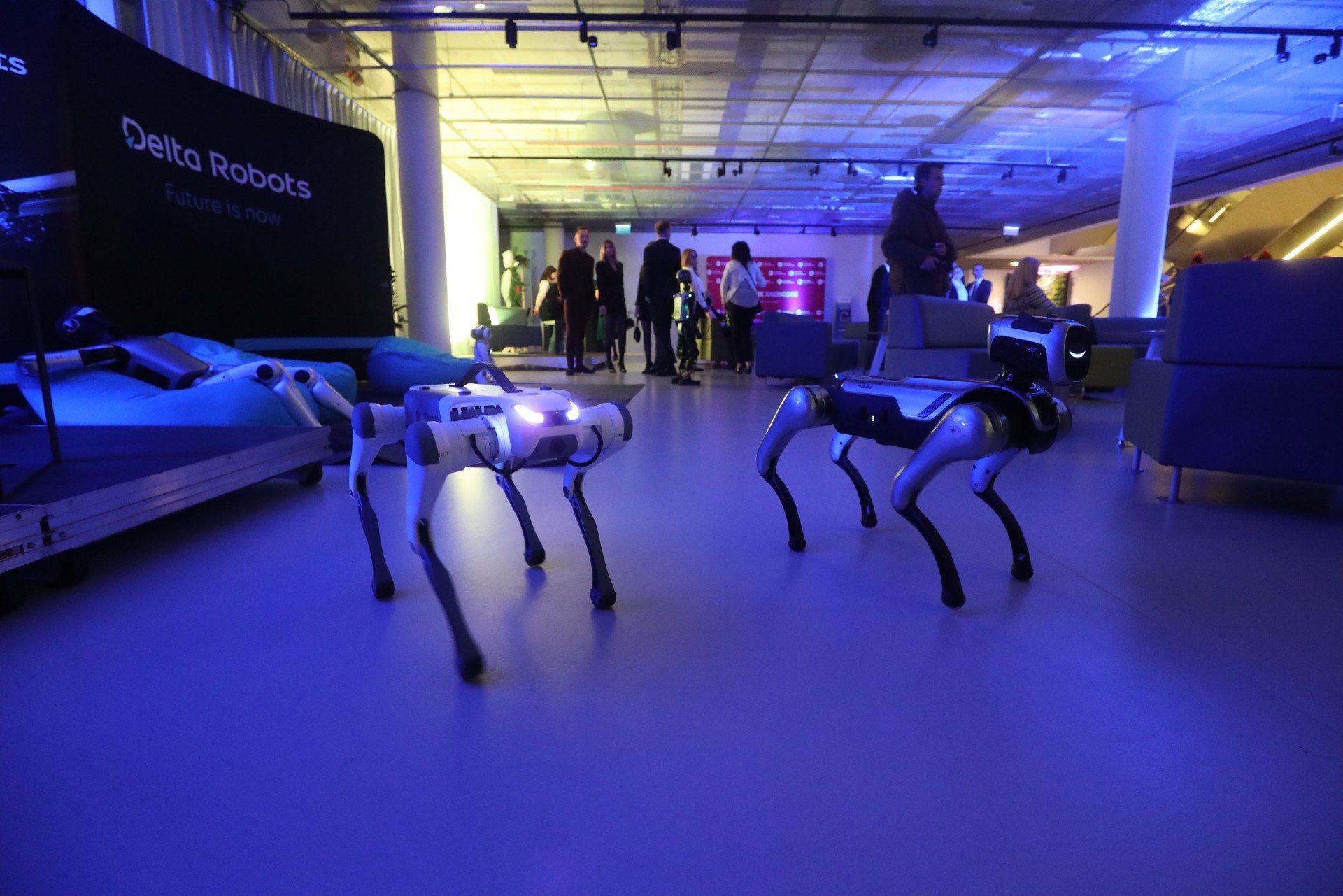 Złota Setka Śląskiego