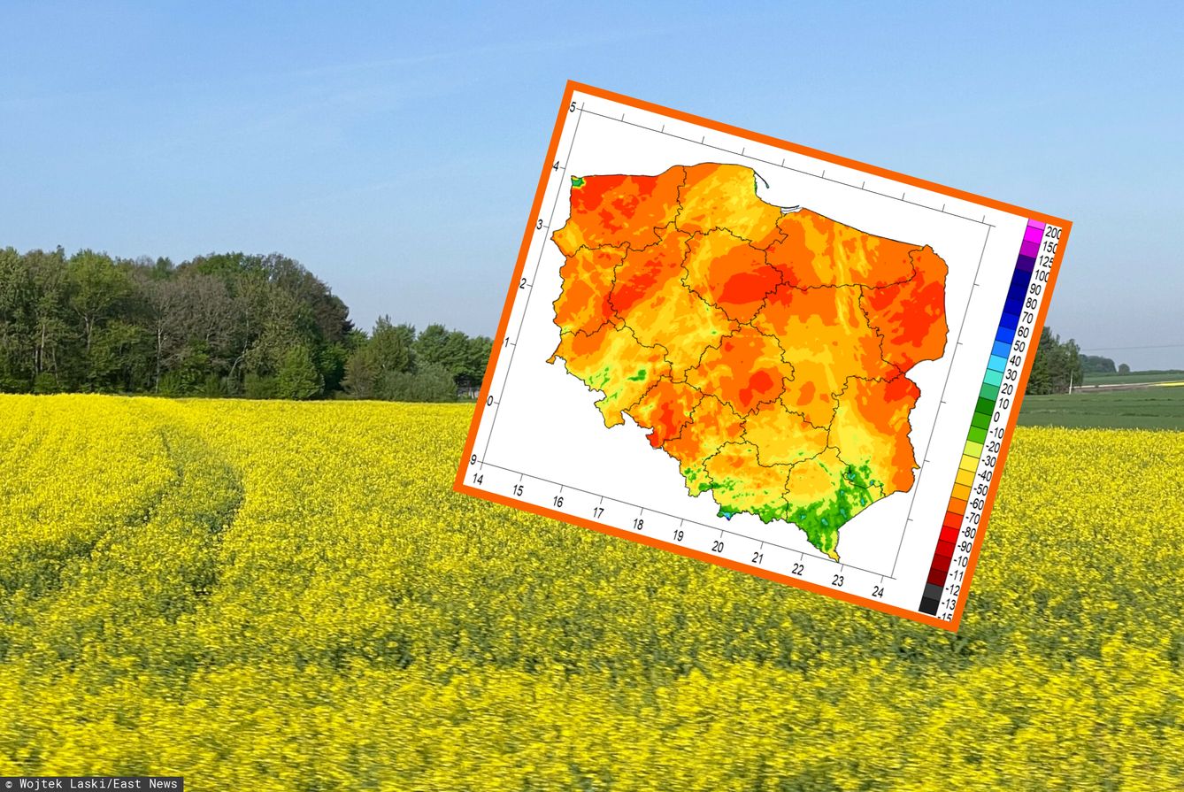 Cała Polska na czerwono. W centrum kraju pojawiły się wypaleniska