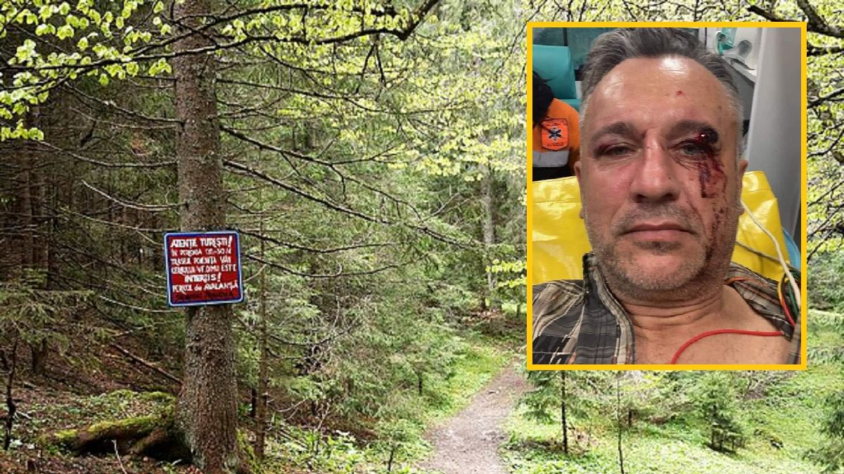 Zaatakowano rumuńskich dziennikarzy w lesie 