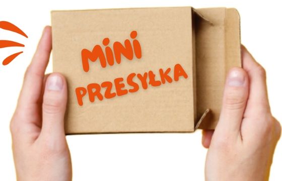 Poczta Polska będzie dostarczać małe zakupy z Allegro za 3,99 zł