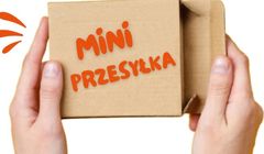 Poczta Polska będzie dostarczać małe zakupy z Allegro za 3,99 zł