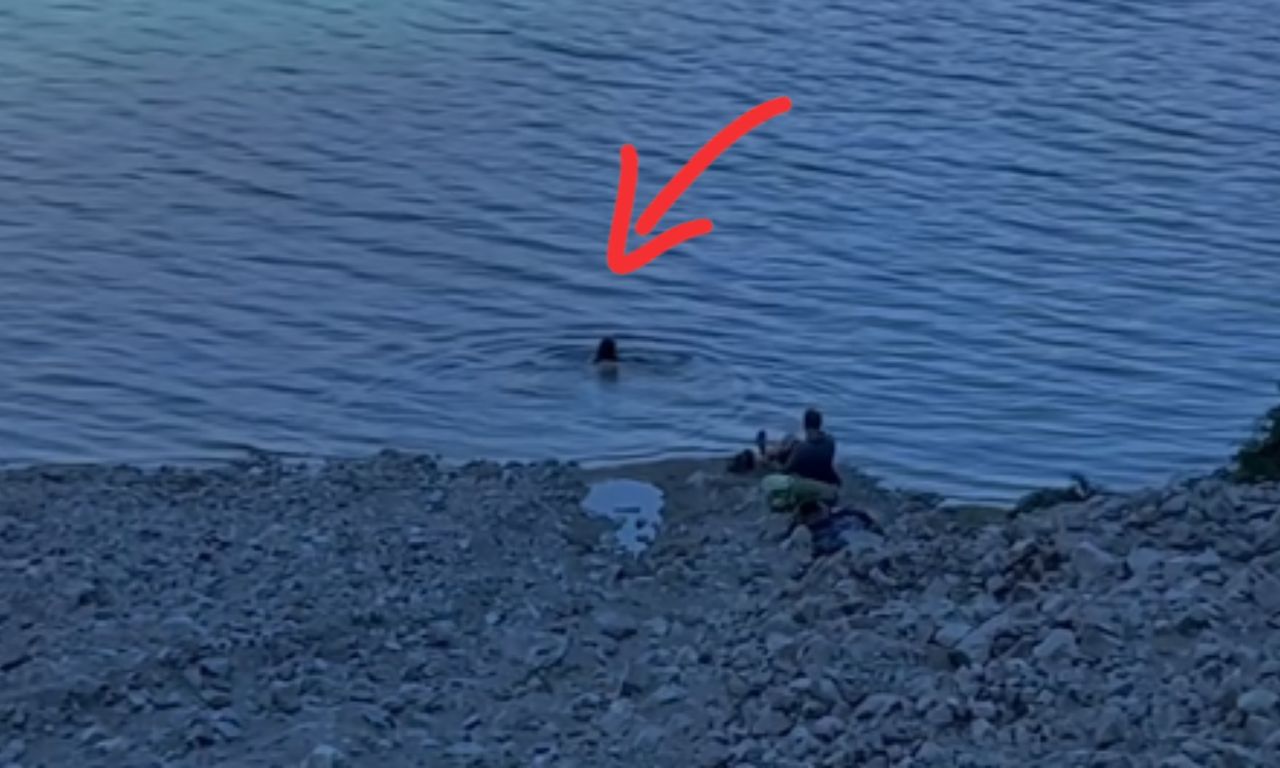 Niesie się nagranie z Tatr. Oto co zrobił turysta