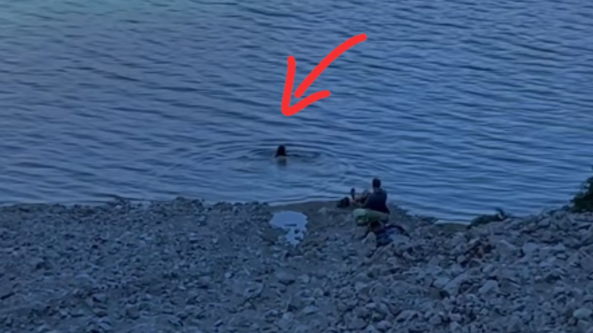  Turysta wszedł do górskiego stawu