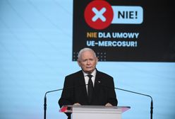 PiS coraz bliżej wyłonienia kandydata? Kaczyński ujawnił