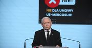PiS coraz bliżej wyłonienia kandydata? Kaczyński ujawnił