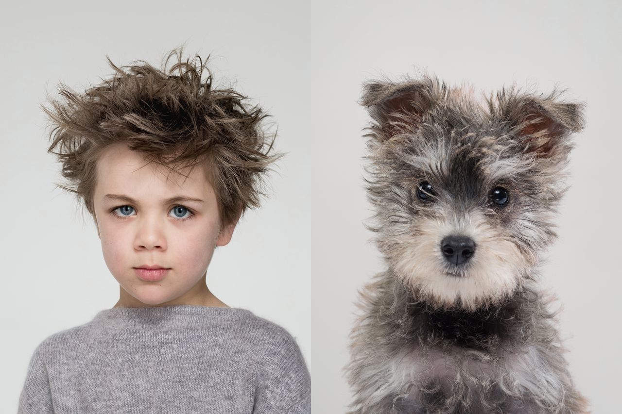 W 2018 roku Gettings kupił dom i szczeniaka border terriera. To był moment, w którym Gerrard odnalazł swój fotograficzny temat. Zainspirowany studyjnymi portretami zwierząt, które widział w książce znalezionej w bibliotece, zaczął fotografować swojego psa Baxtera.