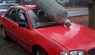 Na oślep z choinką. Policja myślała, że auto porusza się samo
