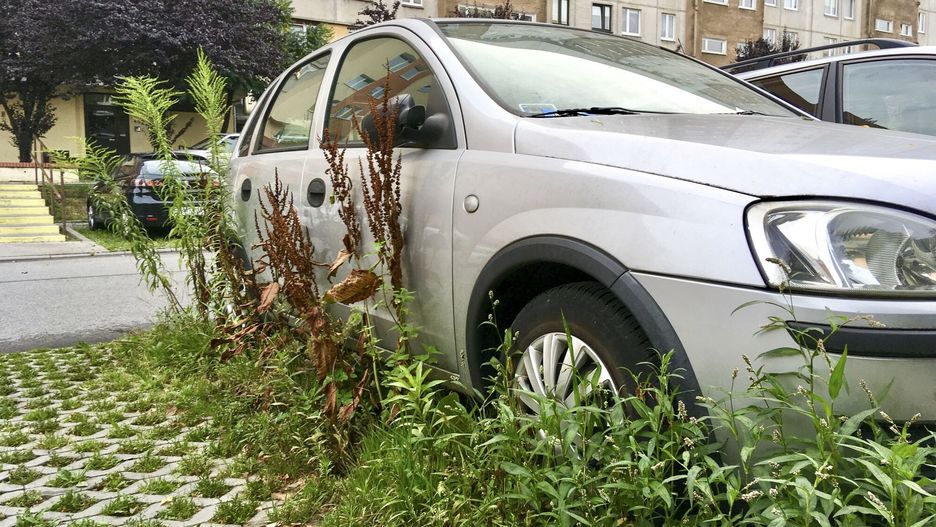 Miasto walczy z zalegającym problemem
