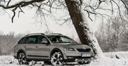Nowa Škoda Octavia Scout 2.0 TDI - test [galeria]