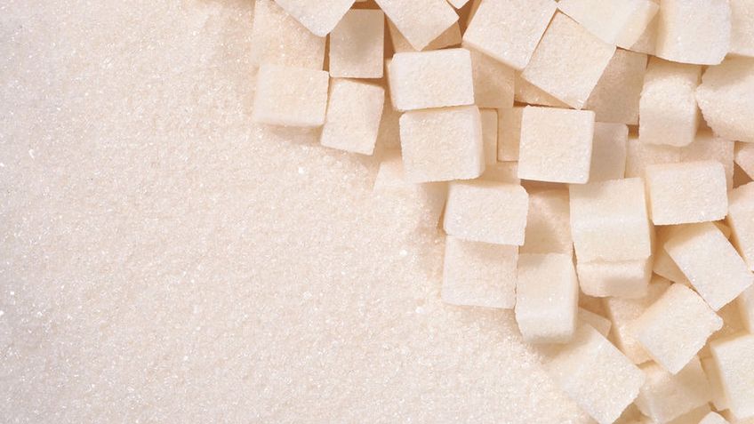 Sacharoza, czyli popularny biały cukier, jest pozyskiwana z buraków cukrowych i trzciny cukrowej.