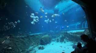 Łódź: Warto pójść do miejskiego Orientarium