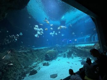 Łódź: Warto pójść do miejskiego Orientarium