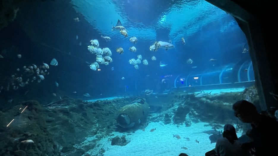 Orientarium w Łodzi