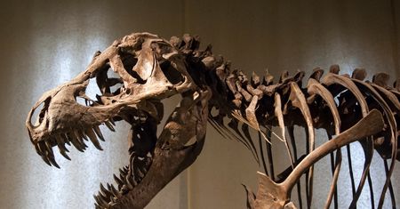 Dinozaury mięsożerne i roślinożerne. Sprawdźmy, co o nich wiesz