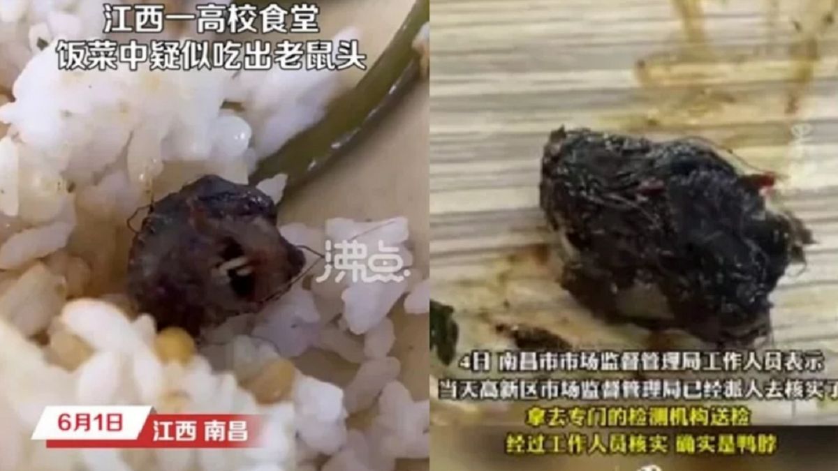 Student znalazł szczura w swoim daniu.