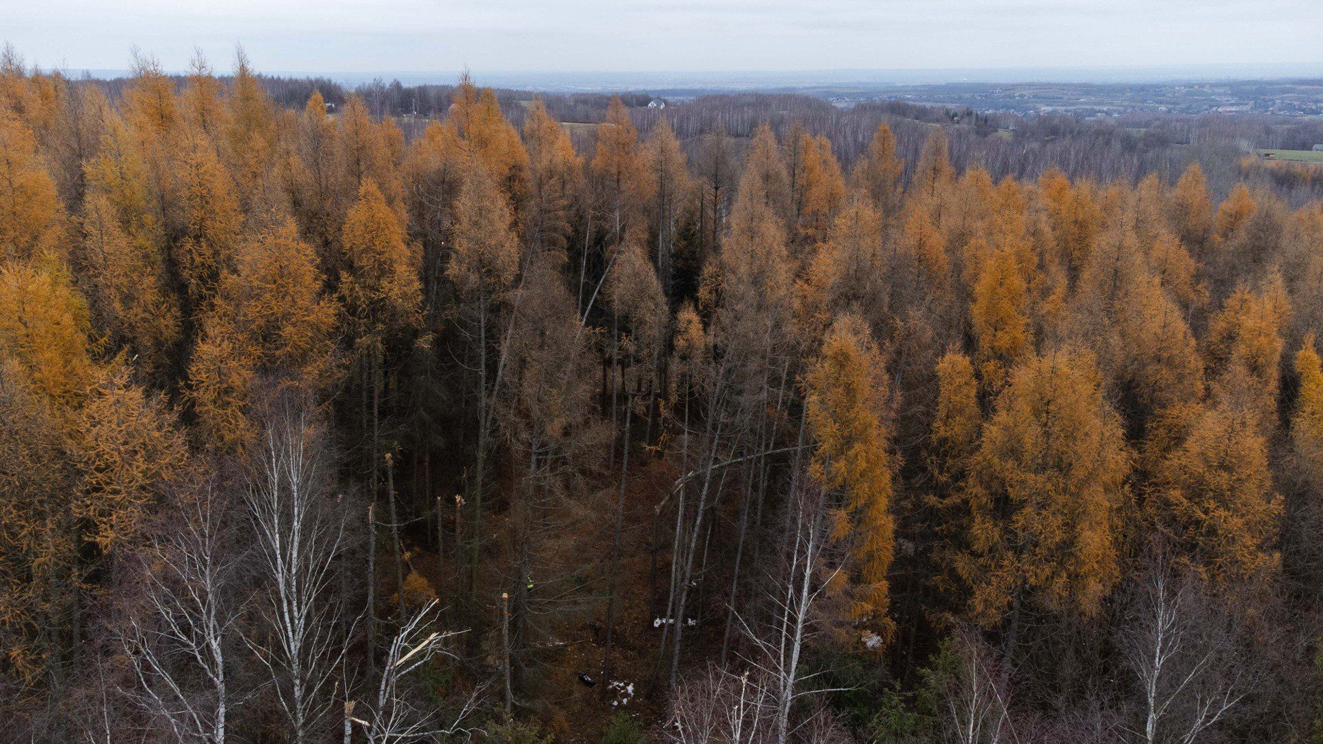 Trwa wyjaśnianie okoliczności tragedii w Cierpiszu