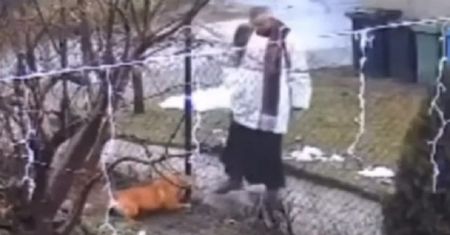 Ksiądz zaatakował psa. Jest śledztwo. "Czynności pod kątem znęcania"