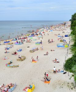 Plaga nad Bałtykiem. Natarczywy owad nie odpuszcza nikomu