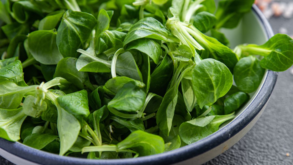 Roszponka to świetna baza do wielu sałatek