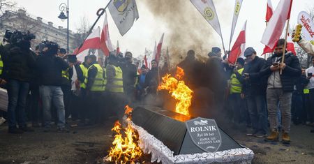 Na nic protesty i blokady rolników. Ekspert prognozuje: Ukraina nas znokautuje