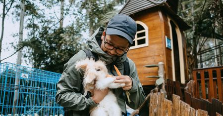 Zoo w Indonezji planuje uśmiercić część zwierząt. "Nie ma innego wyjścia"