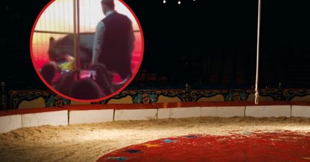 Niedźwiedź rzucił się na tresera w Rosji. Dramat na oczach widzów