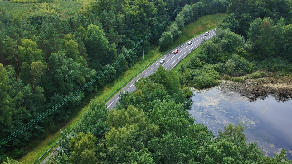 W terenie otwartym bądź w lesie na drogę może wbiec w każdej chwili zwierzę