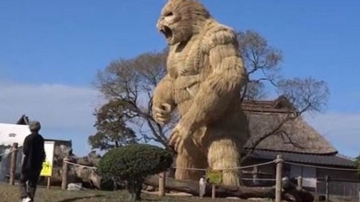 We wsi stanął gigantyczny goryl ze słomy