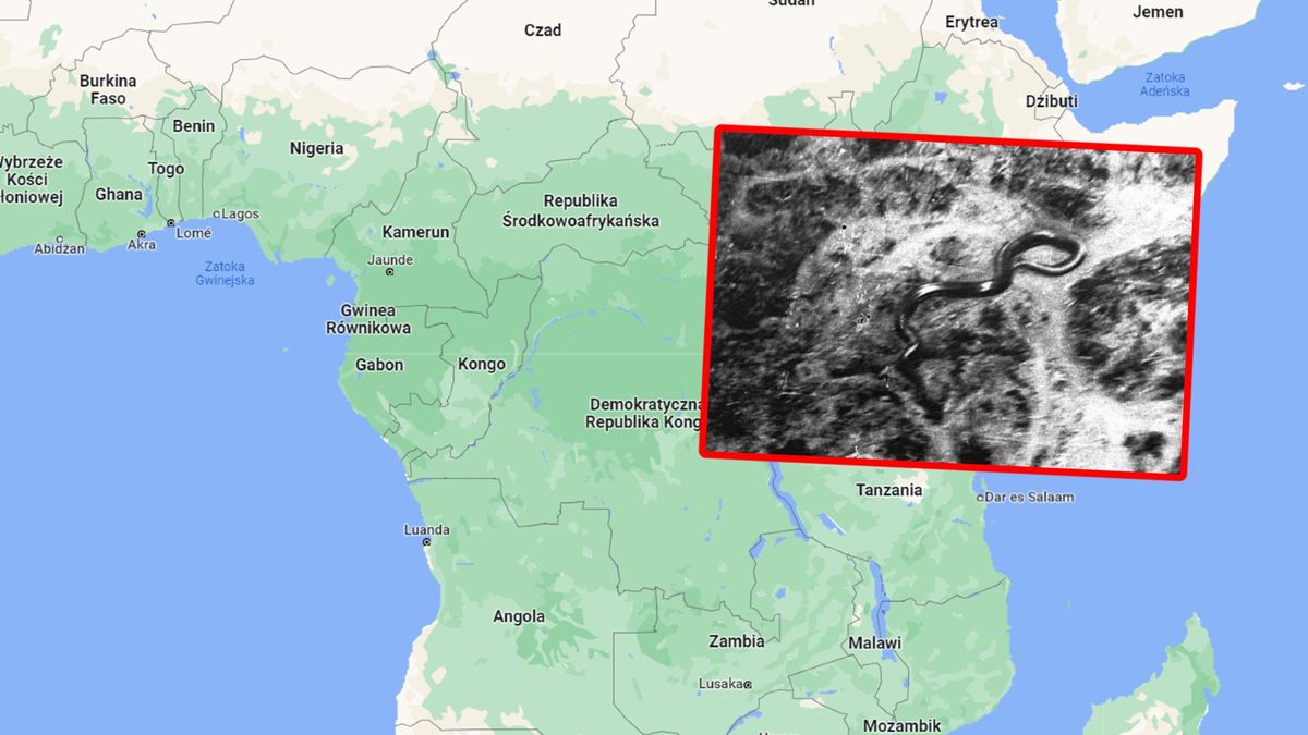 15-metrowy wąż widziany w Aftyce.