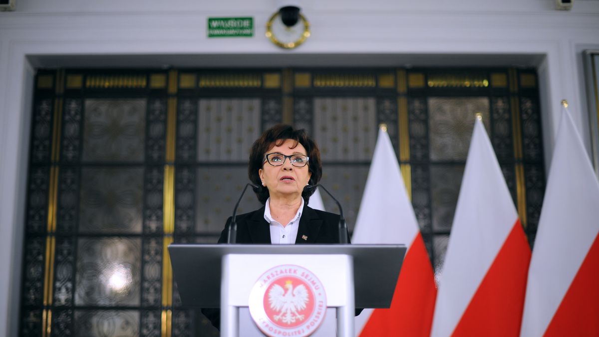 Marszałek Sejmu podała datę. Wybory prezydenckie 2020 odbędą się 28 czerwca 