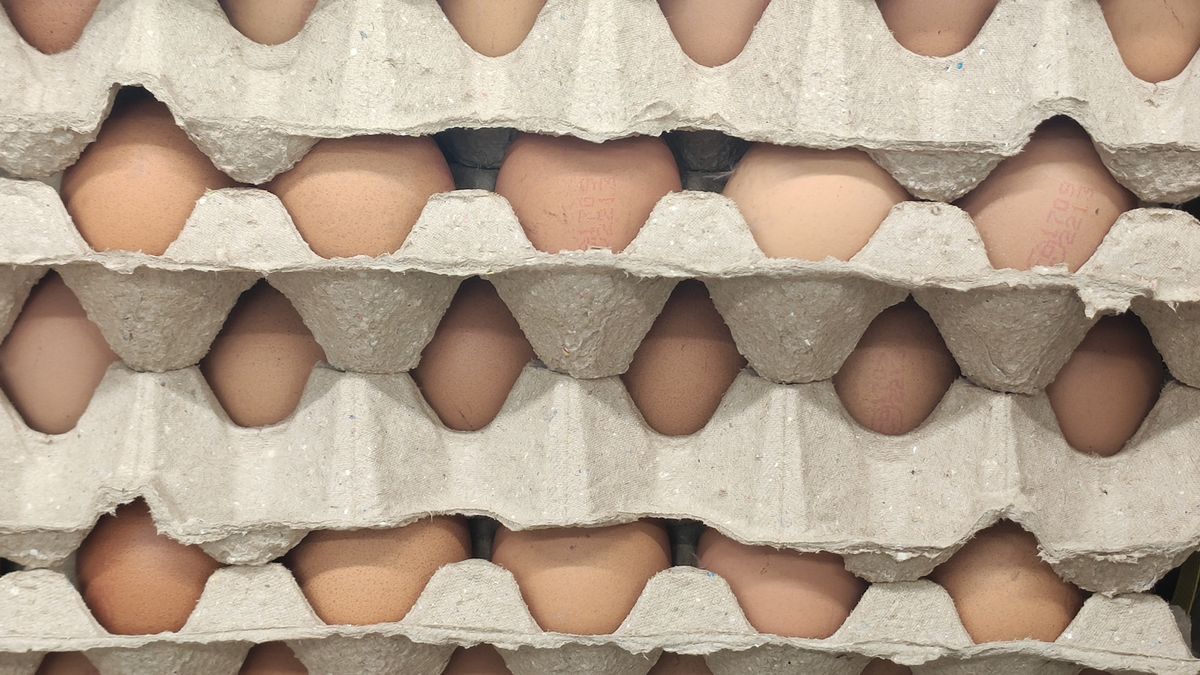 egg, food, eggs, brown, chicken, breakfast, fresh, farm, white, group, box, carton, ingredient, organic, shell, container, eggshell, protein, raw, healthy, isolated, package, easter, meal, eat, closeup, background, nature, life, cooking, old, country, outdoor, people, free range, grocery, trade