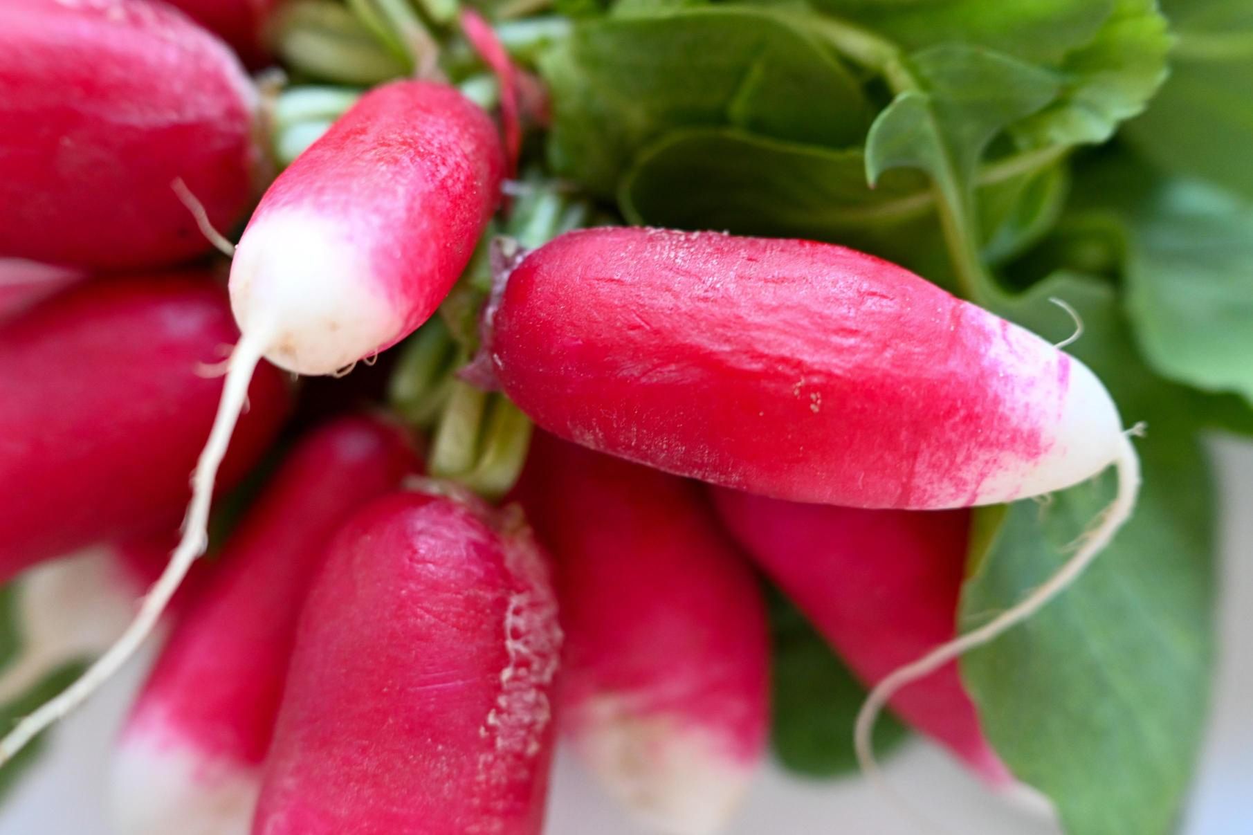 Rzodkiewka to jedno z najzdrowszych warzyw