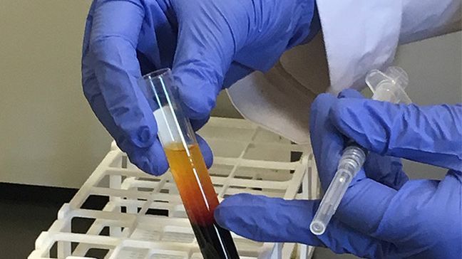 Do zakończenia stanu zagrożenia epidemicznego krwiodawcy będą mieć nie jeden, lecz dwa dni wolnego