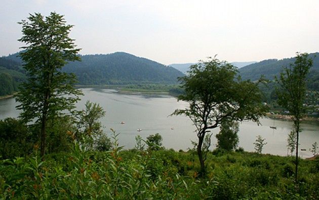 Obraz