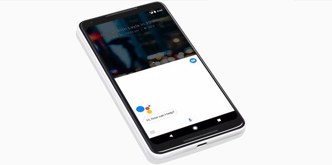 Google Pixel 2 XL