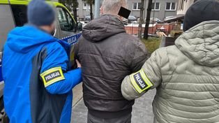 Łódź: Siłą weszli do mieszkania. Ukradli konsolę, telefony i psa