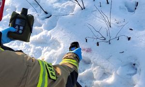 Nieznana substancja w lesie. Interwencja służb