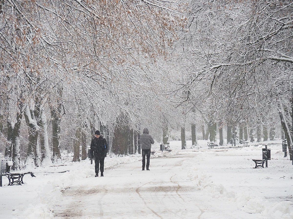 Ostatnie opady śniegu należy raczej zaliczyć do mocnego incydentu zimowego. 