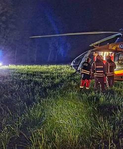 Dramatyczny wypadek w lesie. Zleciał z kilku metrów