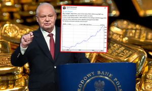 Kruchość "polskiego SAFE". Oto co dzieje się przy spadkach ceny złota