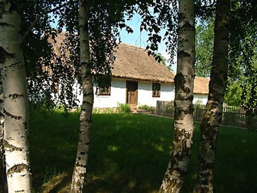 Obraz