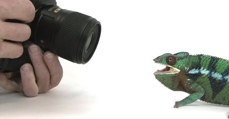 12 000 zwierząt sfotografowanych w projekcie „Photo Ark"