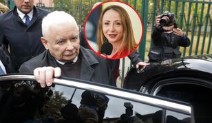 Desperacka koalicja PiS? Wyśmiała mrzonki publicystów