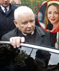 Desperacka koalicja PiS? Wyśmiała mrzonki publicystów