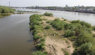 Nad Wisłą powstaną plenerowe biblioteki z hamakami